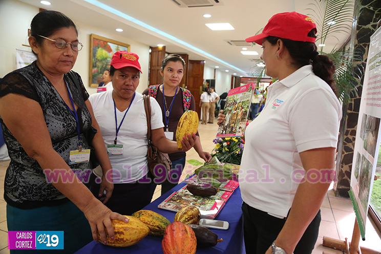 Nicaragua desarrolla Primer Congreso Internacional sobre Producci&oacute;n Sostenible de Cacao Fino
